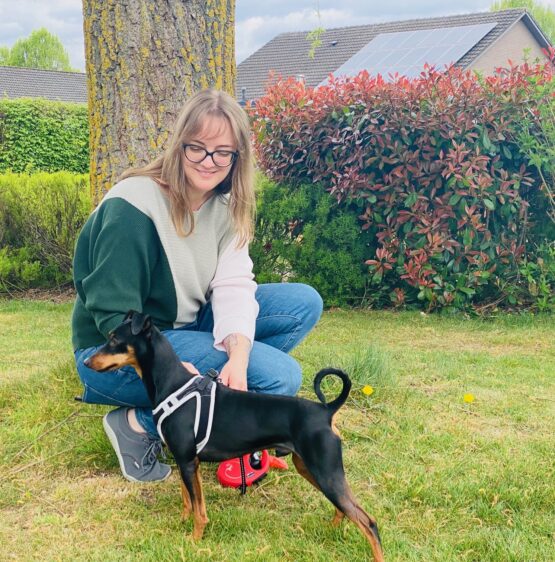 {{brizy_dc_image_alt imageSrc=