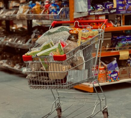 a shopping cart full of groceries in a grocery store