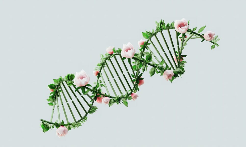 a close up of a plant with pink flowers